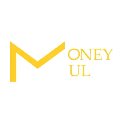 MoneyMul Technologies Private Limited